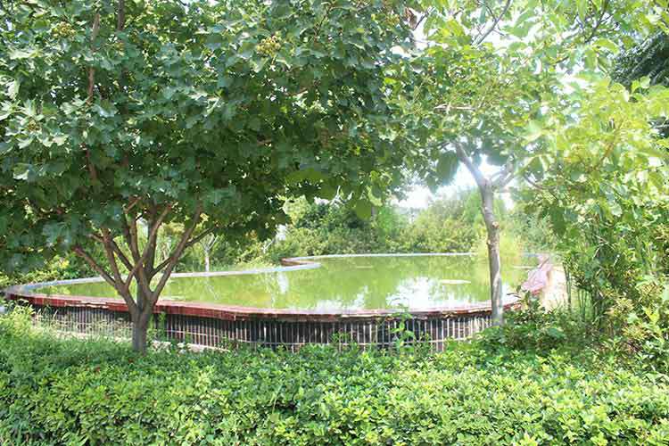 开云手机在线官网入口-开云(中国)机械厂区环境优美